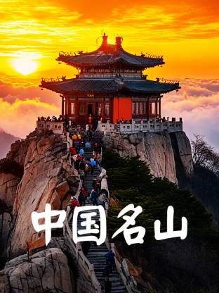 2006纪录片